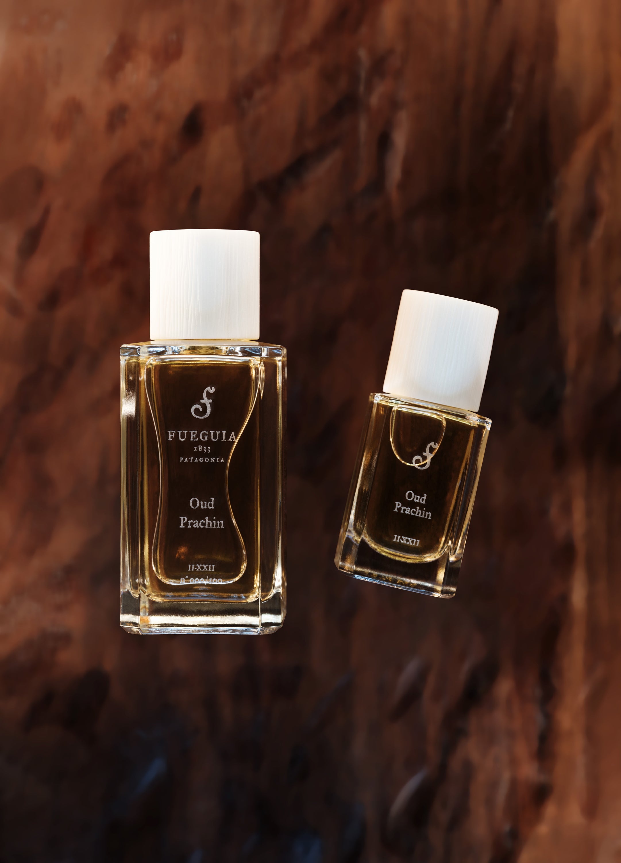 OudPrachin30ml.jpg?v=1674576369
