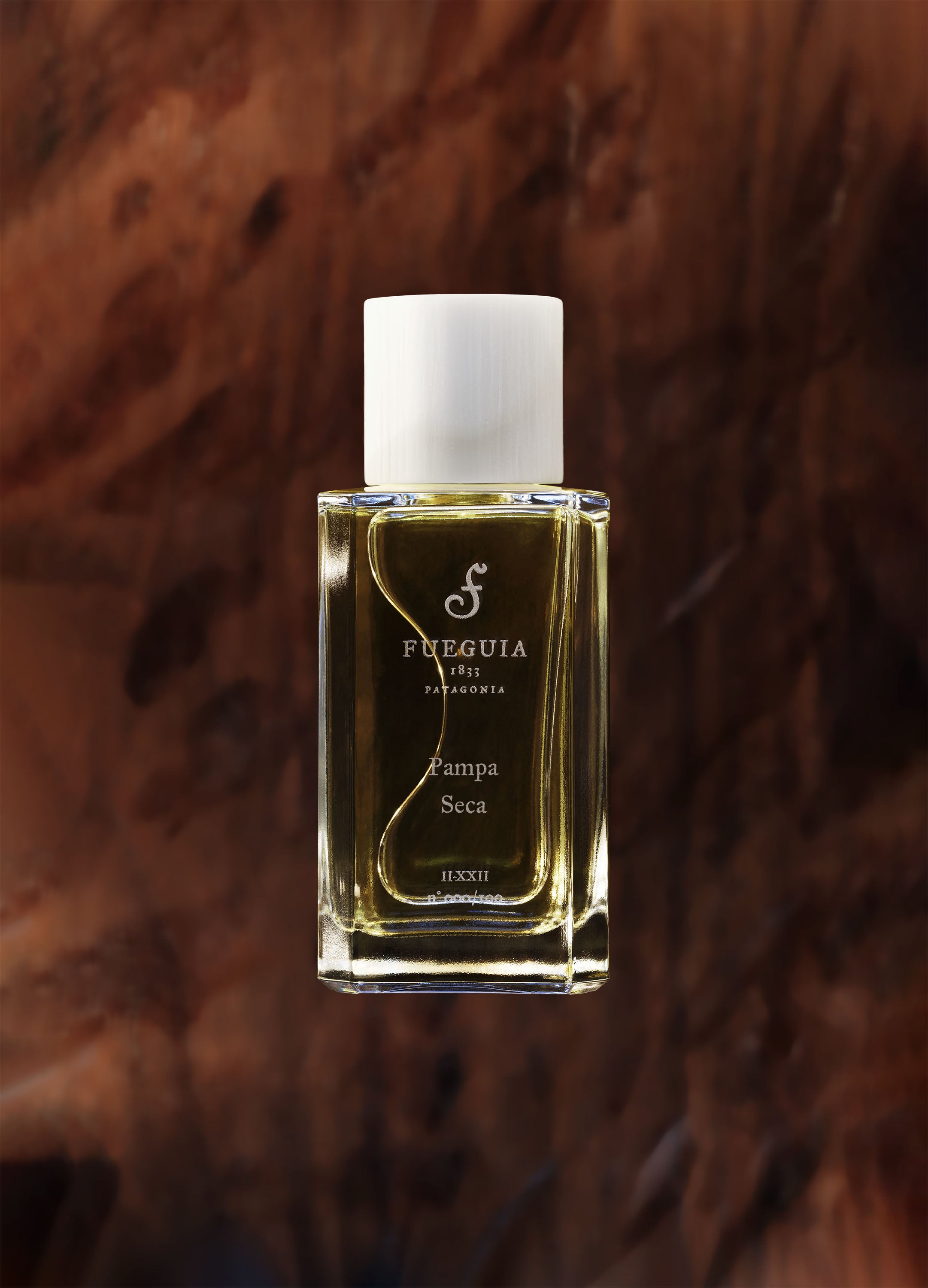 FUEGUIABallena de la pampa 1-21 100ml 8割 PampaSeca.jpg?v=1670956677