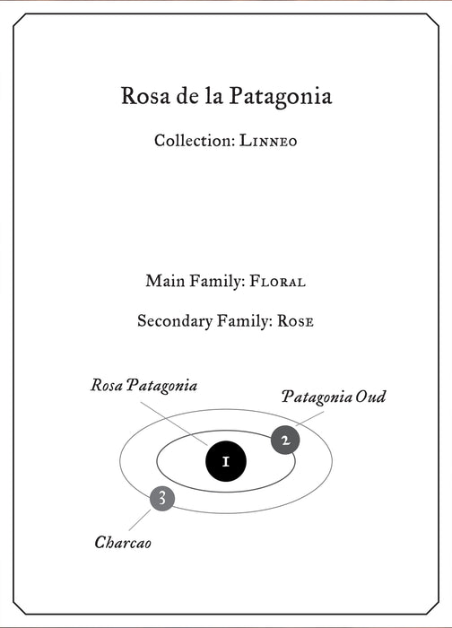 Rosa de la Patagonia