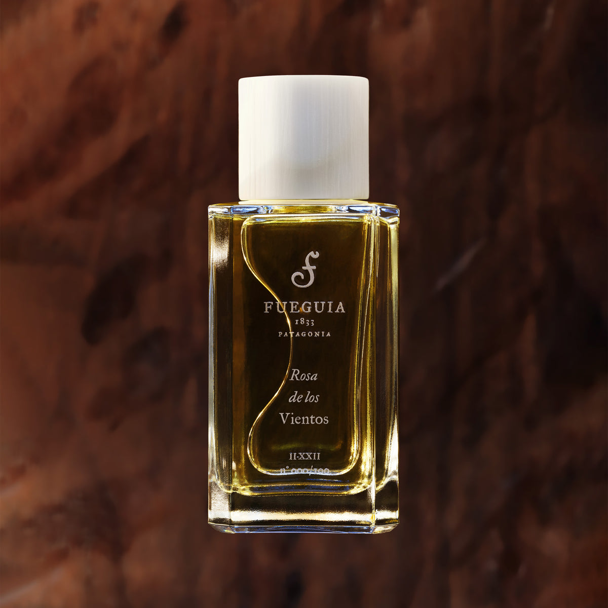 フエギア Rosa do Los Vientos Ⅰ-ⅩⅩⅡ フエギア Rosa do Los Vientos Ⅰ-ⅩⅩⅡ - メルカリ